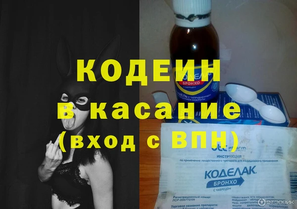 крисы Баксан