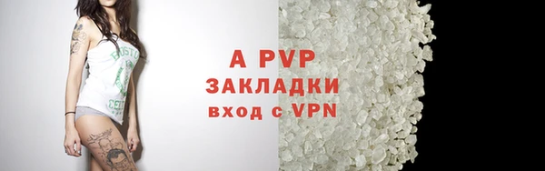 крисы Баксан