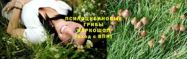 крисы Баксан