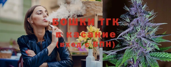 крисы Баксан