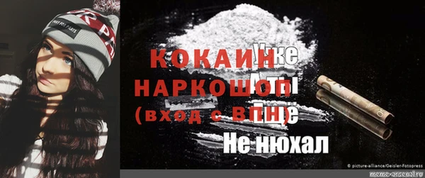 крисы Баксан