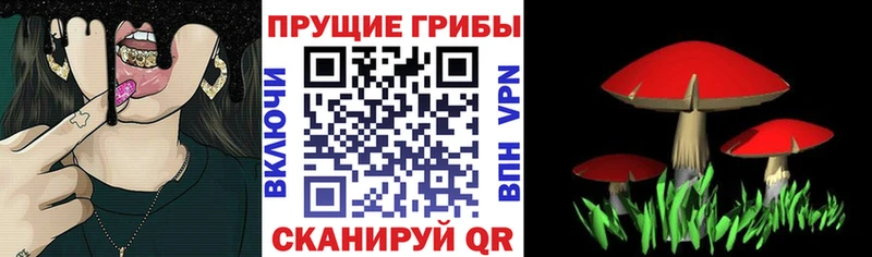 Псилоцибиновые грибы мицелий  Купить закладки  Судак 